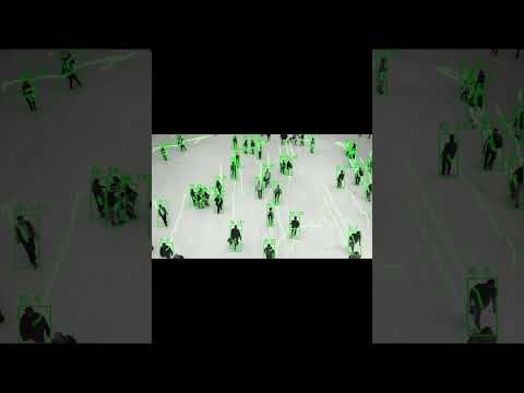 YOLOv12 for Real Time Crowd Monitoring