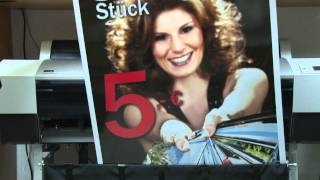 Der Photoshop - Werl