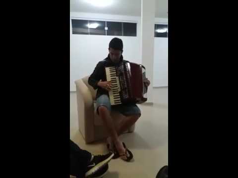 Marcinho Mattos a flor e o beija-flor