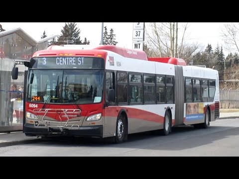 Calgary Transit 2013/2017 New Flyer XD60 - 6094