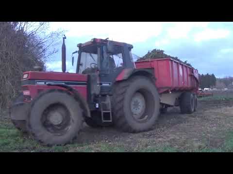 Landb. Calle - Stekene - Case International 1056 en bietenrooier