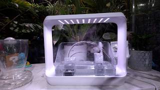Unboxing Smart Terrarium and My Favorite Self Watering Pots