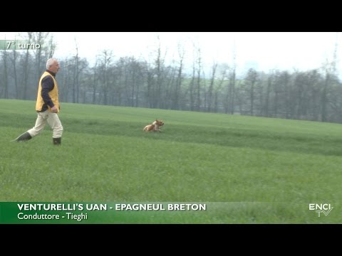 DERBY CONTINENTALI 2017 - BATTERIA 2 CONTINENTALI ESTERI