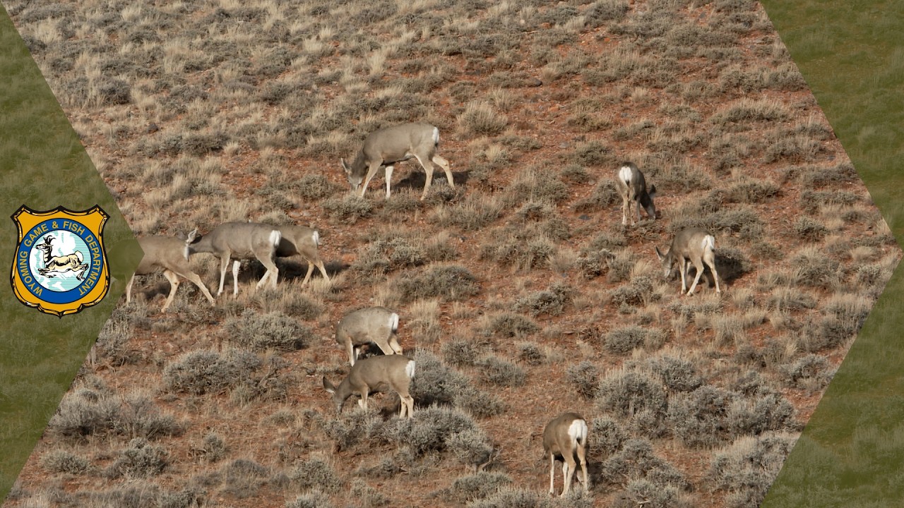 2026 Wyoming Range Update
