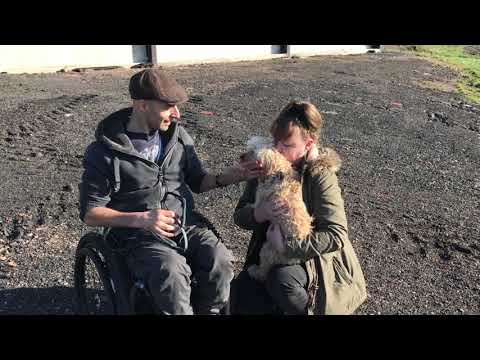 Rob walks the dog in his wheelchair