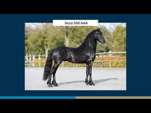 Sicco 550 AAA