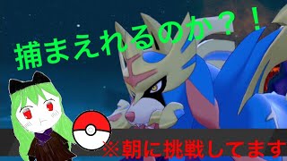 ザシアンをモンスターボールでつかまえてみよう！！【ポケモンソード】