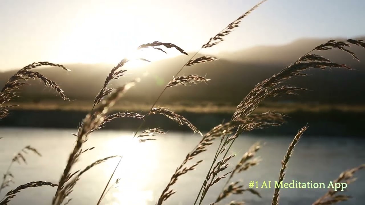 Understanding BV_API for Enhanced Business Solutions, bv_api