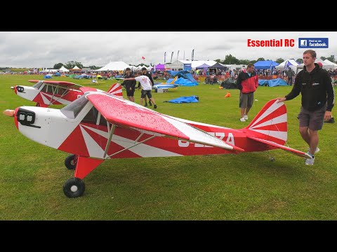 WOW !!! XXL 60% SCALE CLIPPED WING CUB - CLOSE FORMATION AEROBATIC DUO