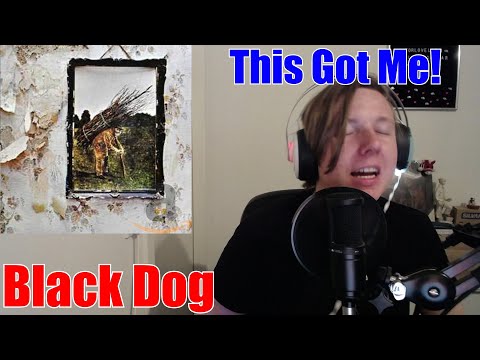 KNF First Reaction To - Led Zeppelin: Black Dog