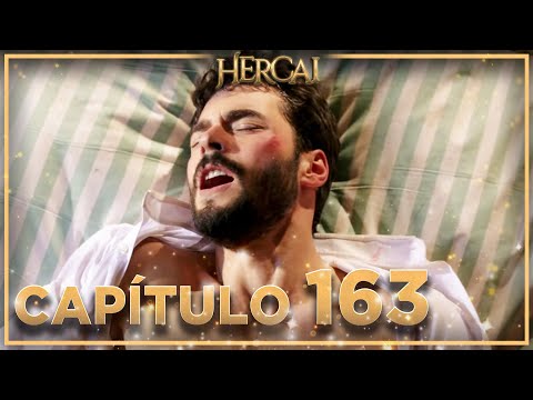 Hercai - Capítulo 163
