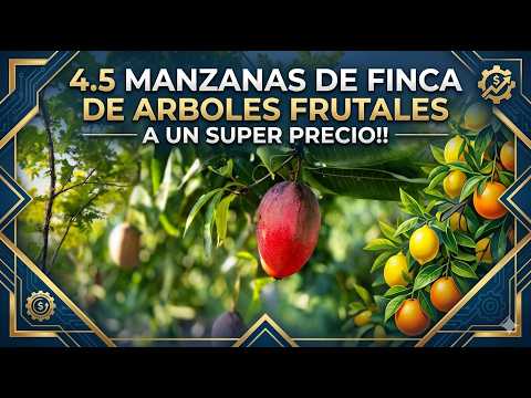 PRECIOSA FINCA DE 4.5 MANZANAS EN VENTA EN EL PAISNAL, DEPARTAMENTO DE SAN SALVADOR, EL SALVADOR!!