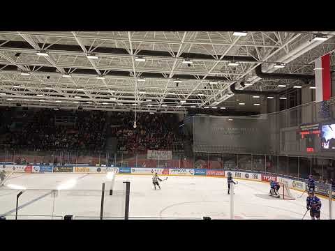 Kibice Podhala Nowy Targ podczas meczu GKS Jastrzębie Podhale Nowy Targ