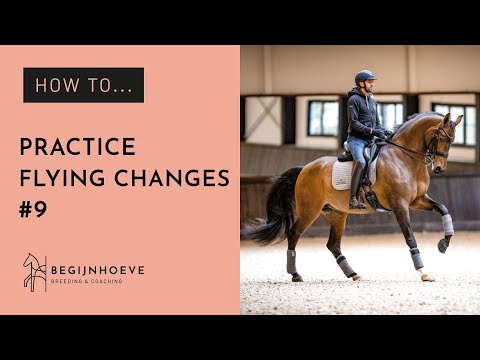 Wie man fliegende Wechsel übt | Begijnhoeve | Anleitung Nr. 9
