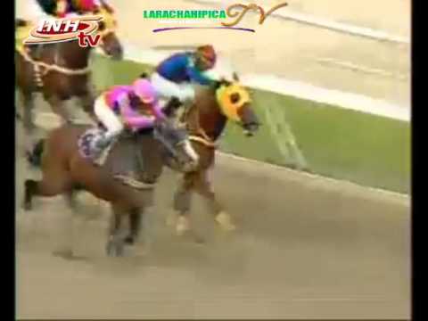 LA RINCONADA 6 CARRERA DOMINGO 30 DE NOVIEMBRE DEL 2014