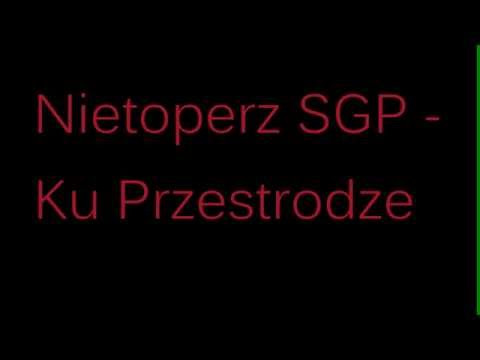 Nietoperz SGP - Ku Przestrodze