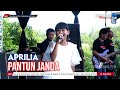 PANTUN JANDA APRILIA LIVE MUSIC OFFICIAL DIAN PRIMA