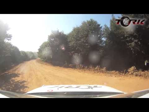 2014 AVIS Bosphorus Rally - SS5: Mudarlı-2 - Kerim Tar & Kutay Ertuğrul (roof cam)