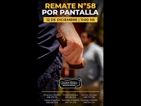12/12/2025  58º Remate por Pantalla  - Celedon Mediza  / Virtual  - Colonia