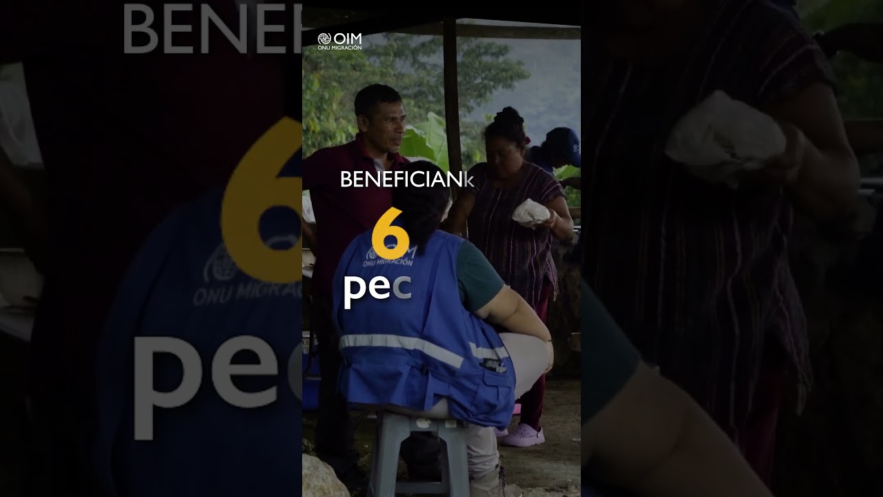 🌍 Chiapas: Escuelas de Campo OIM | Acción Climática #Shorts