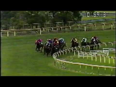 1991 Liston Stakes - Dr Grace