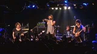 ViViD's NEW MUSIC 2013 from VISIONNAIRE 1 [live]