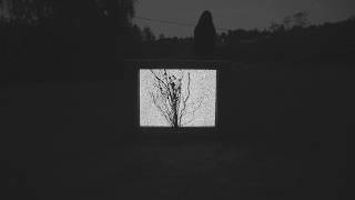 Spiritbox - The Beauty of Suffering *OFFICIAL*