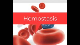 Hemostasis Explained: Vasoconstriction, Platelets, Coagulation & Clot Breakdown