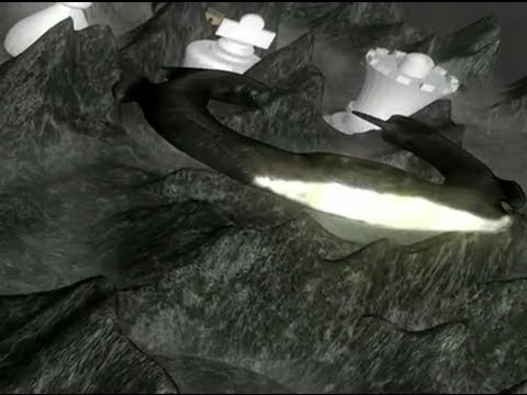 6.7.1. Martin Zvarík - Jerguš Pecháč 0 - 1