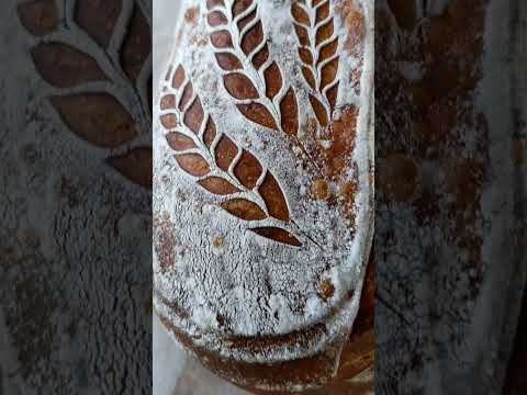 Sourdough. Almost over fermented dough, plus 42 hour cold retard, turned out OK.