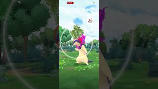 Ｒ８年（午年）・駆け抜けて行く‼️・色違いガラル残り２鳥を求めるおさんぽお香の旅１９６日目撮影日７／１５（累計１４４７日）