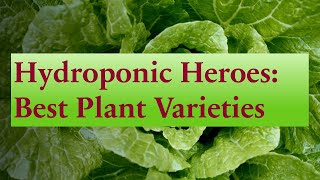Best of the Best | Hydroponics Heroes | Gardening & Growing