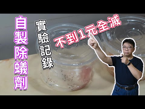 廚房小螞蟻
