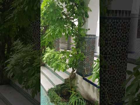 Andalusian Garden in the middle of Paris. The Grand Mosque of Paris.
