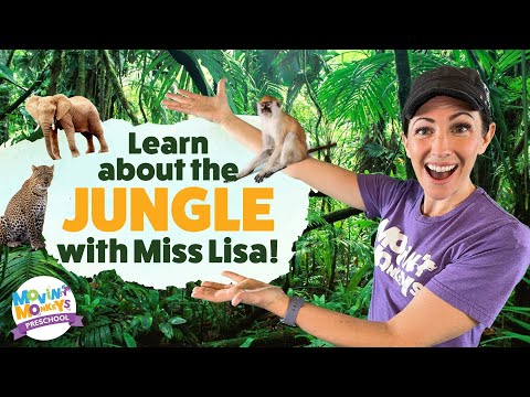 Let's Learn About the Jungle - for Preschoolers | Movin' Monkeys Preschool