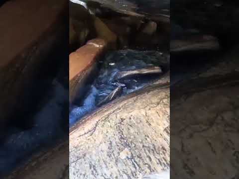 rio em pedra branca ceará 22/02/2026