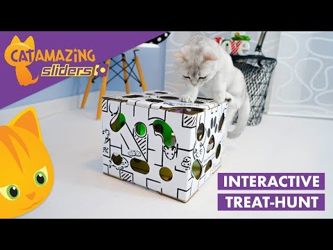 Cat Amazing SLIDERS – Interactive Puzzle Feeder for Cats