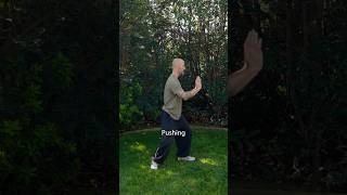 Tai Chi Press demonstration thumbnail