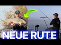 New Fishing Rod Straight To Barbel Foggy November Day With Strong Fish