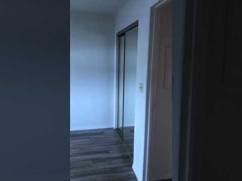 335-4th property video