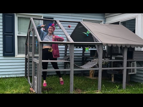 Building a Catio for my Cats!!! 🤯🐈