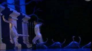 Adam Cooper@Swan Lake