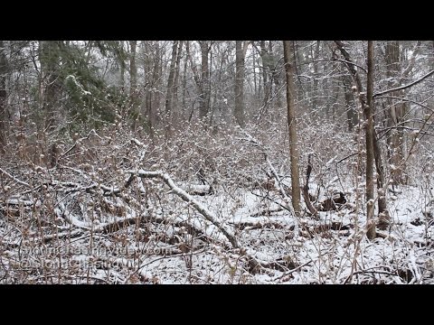 Rice Lake, WI April Fools , here is some snow - 4/1/2016