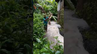 Download lagu Menangkap ikan di air deras #short #shorts #ngecrik mp3