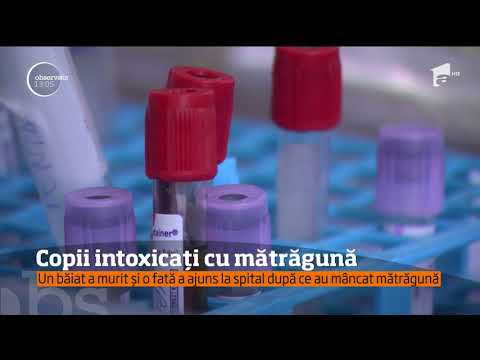 Un băiat a murit şi o fetiţă a ajuns în stare critică la spital, după ce au mâncat fructe de