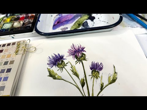 Watercolor Journal Day 215 (Thistles, pencil and watercolor)
