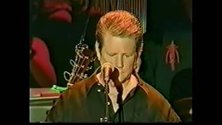 Brian Wilson BENEFIT 1999 LIVE   Add Some Music to Your Day