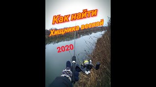 Ссылка