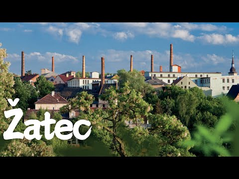 Exploring Žatec: The Heart of Saaz Hops in Czechia