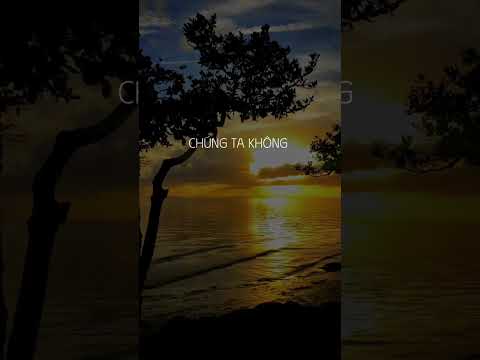 #243 CON NGƯỜI LÀ NHỮNG SINH VẬT TỰ CAO TỰ ĐẠI